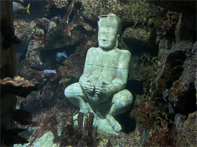 ��Ӫ�߲�Ͷ���й�׬Ǯ_�½������������